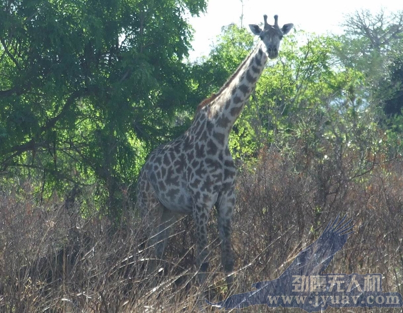 &#67;&#81;&#57;&#30005;&#23376;&#40;&#20013;&#22269;&#41;&#20114;&#21160;&#30334;&#31185;